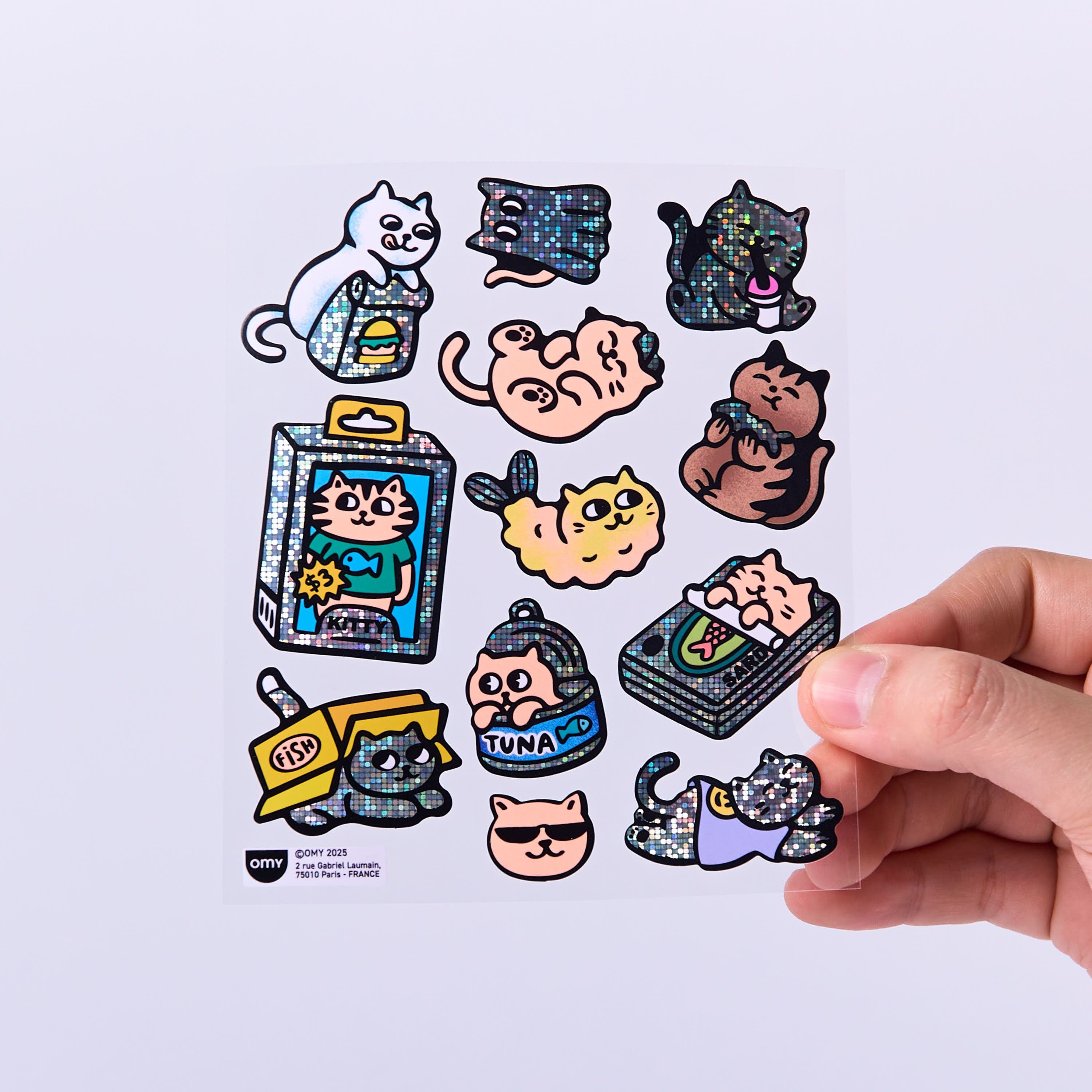 FABULOUS STICKERS - BIG - KITTY